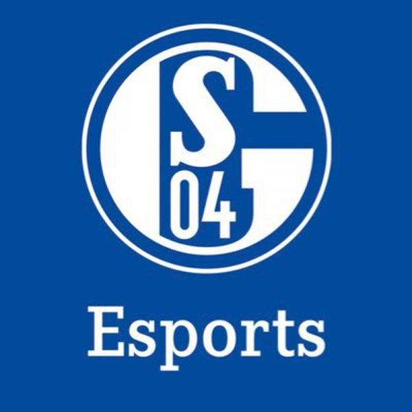 «Удачи в G2!» — FC Schalke 04 попрощалась с FORG1VEN