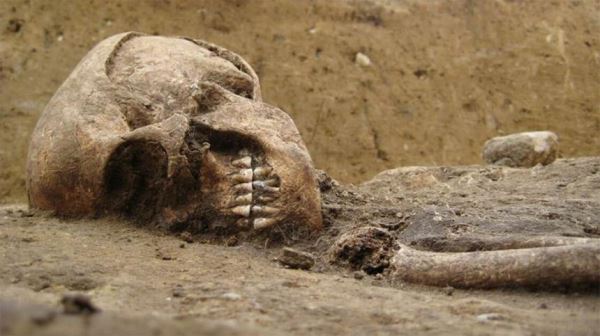 Учёные обнаружили смертельную диету древних людей